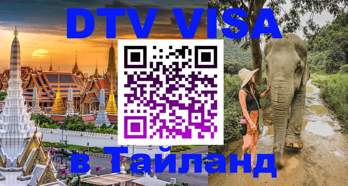 Оформление DTV визы под ключ: стоимость и тарифы, только загранпаспорт - 
